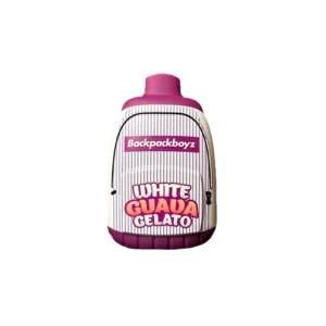  Backpack Boyz 2G Disposable 