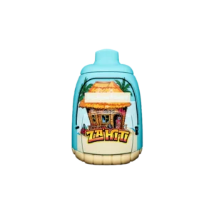 Backpack Boyz Disposables
